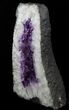 Dark Amethyst Geode From Brazil - lbs #34436-1